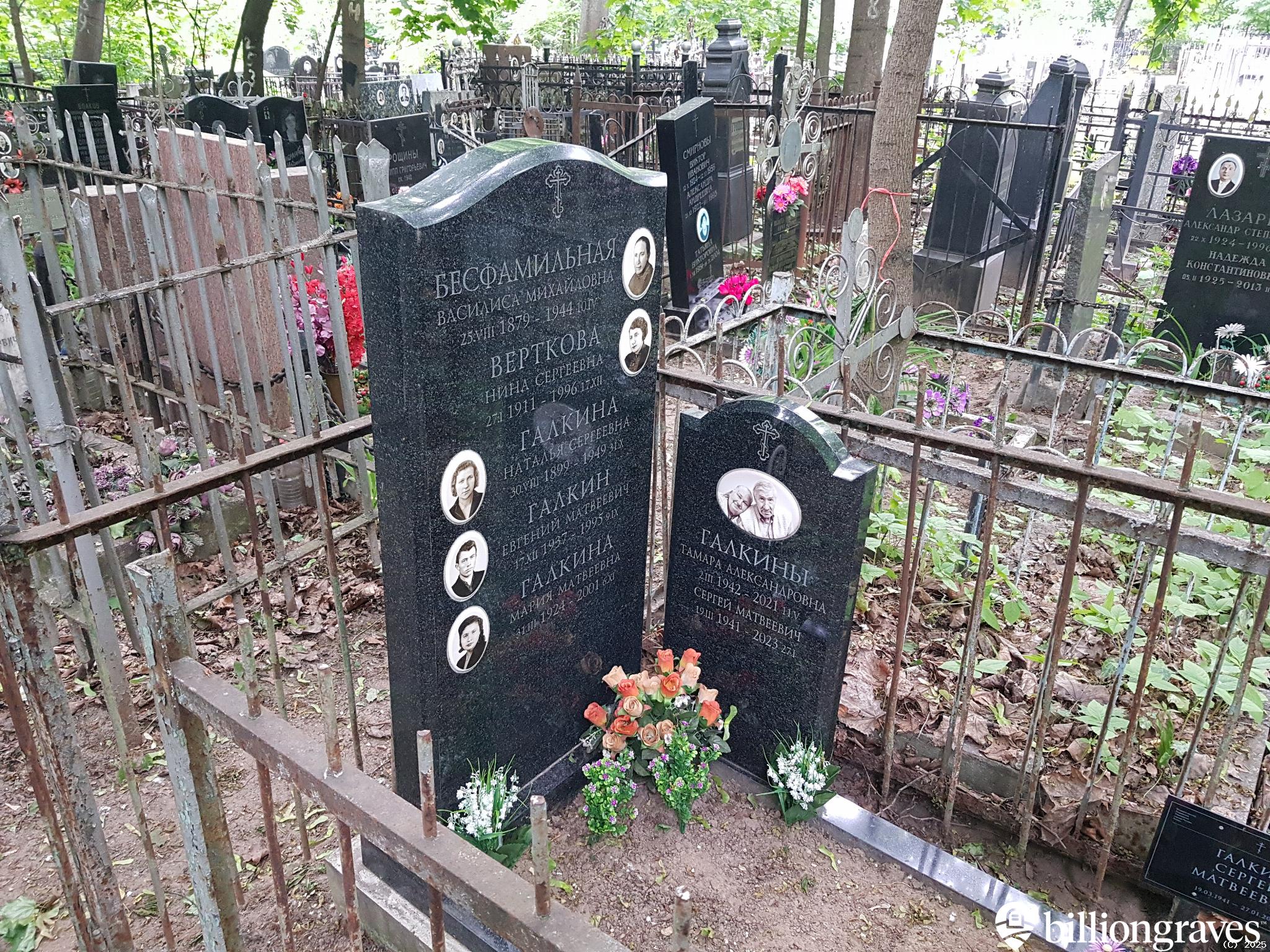 Верткова Нина Сергеевна