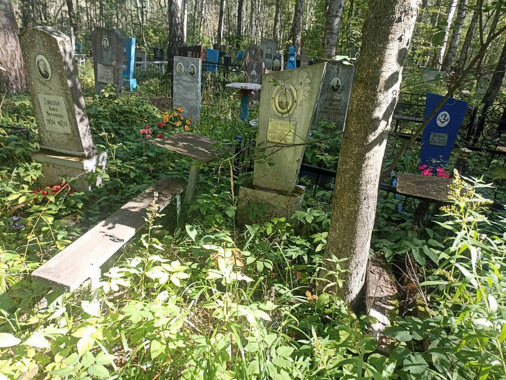 Боков Михаил Александрович