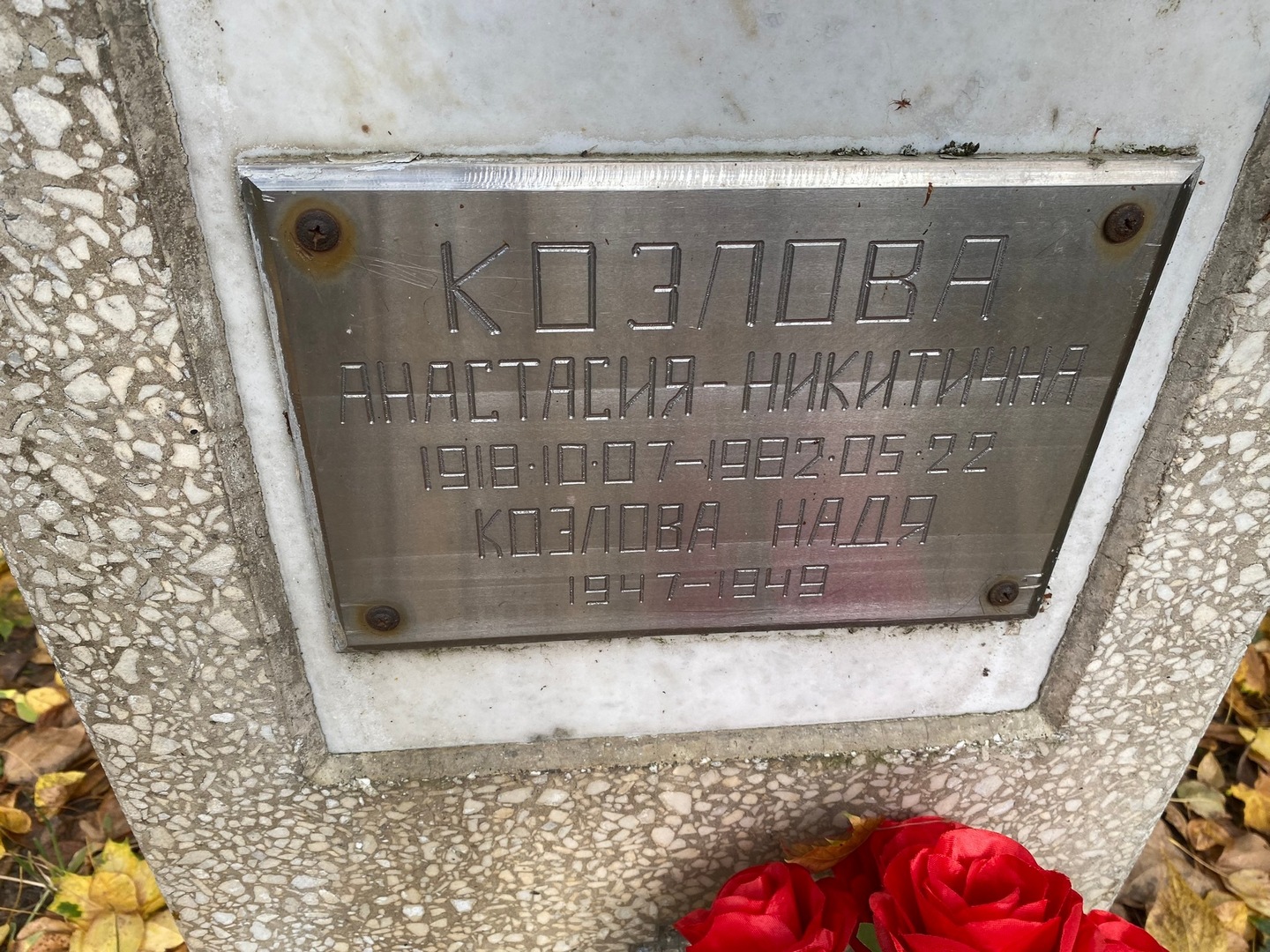 Козлова Анастасия Никитична