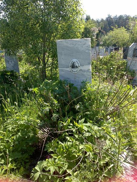 Ведерникова Александра Николаевна