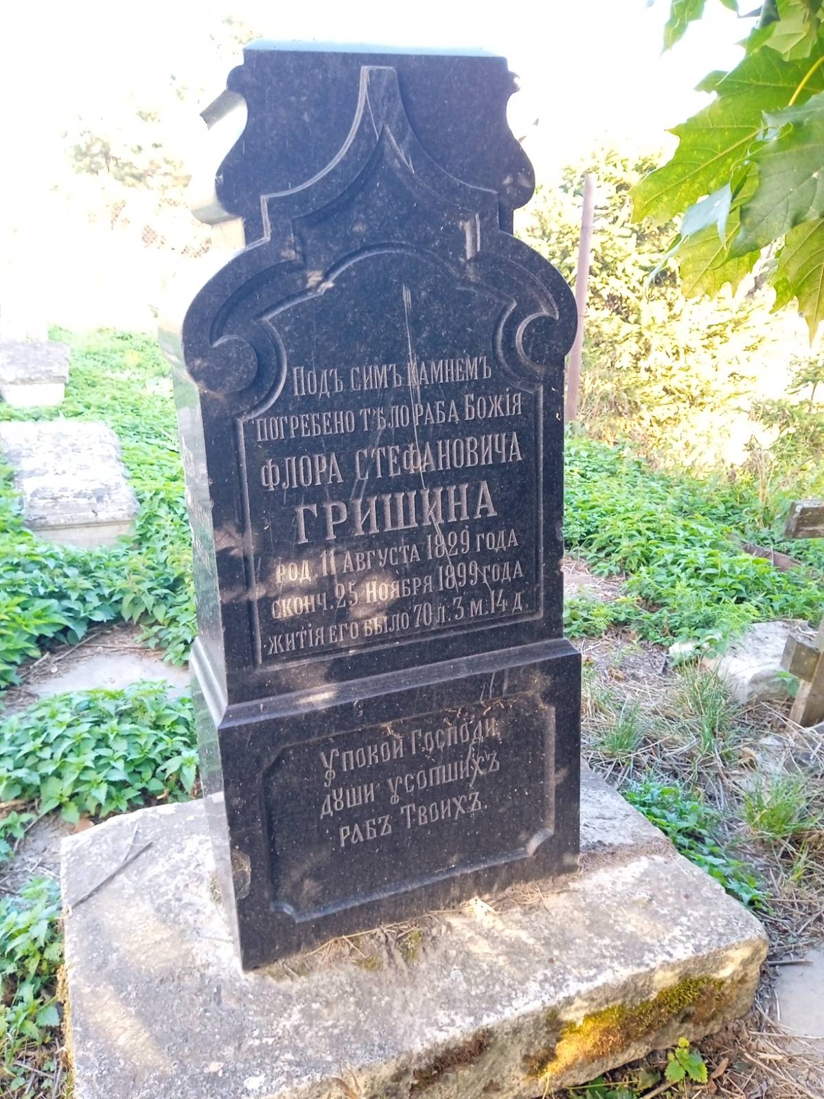 Гришин Флор Стефанович