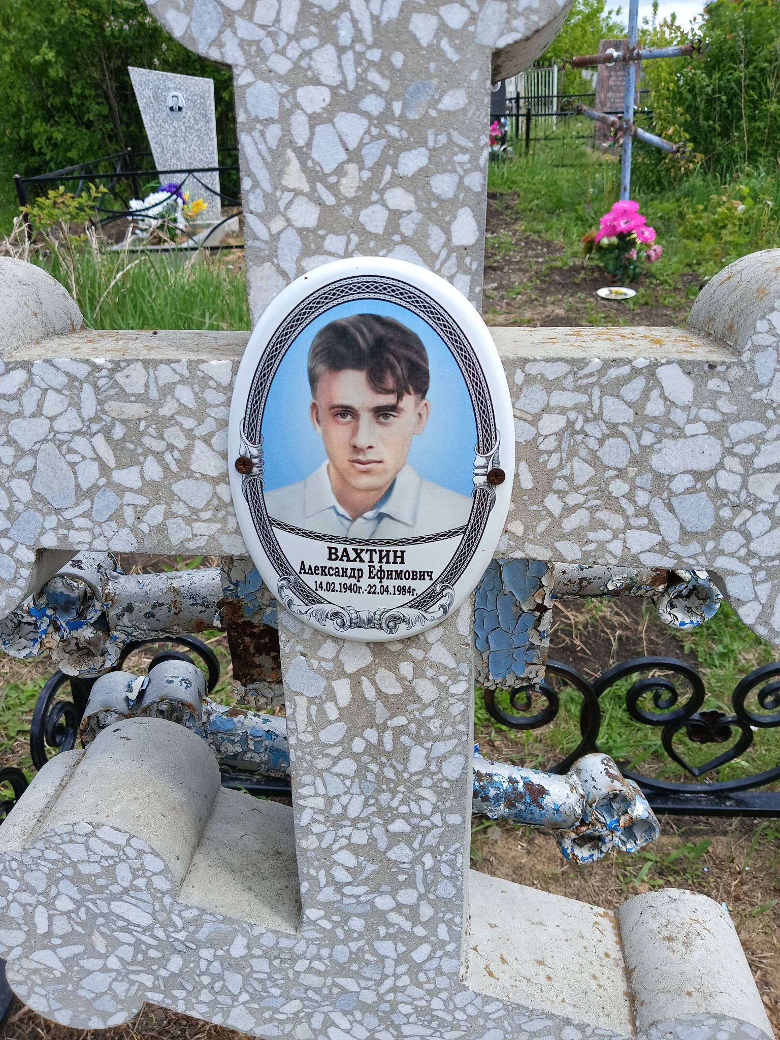 Вахтин Александр Ефимович