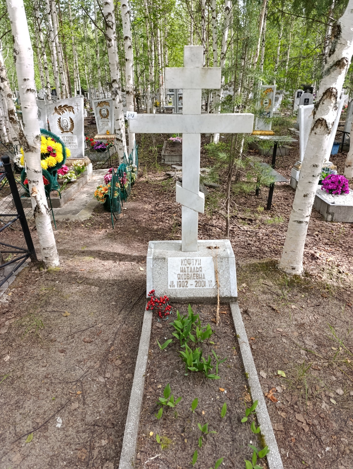 Кофтун Наталья Яковлевна