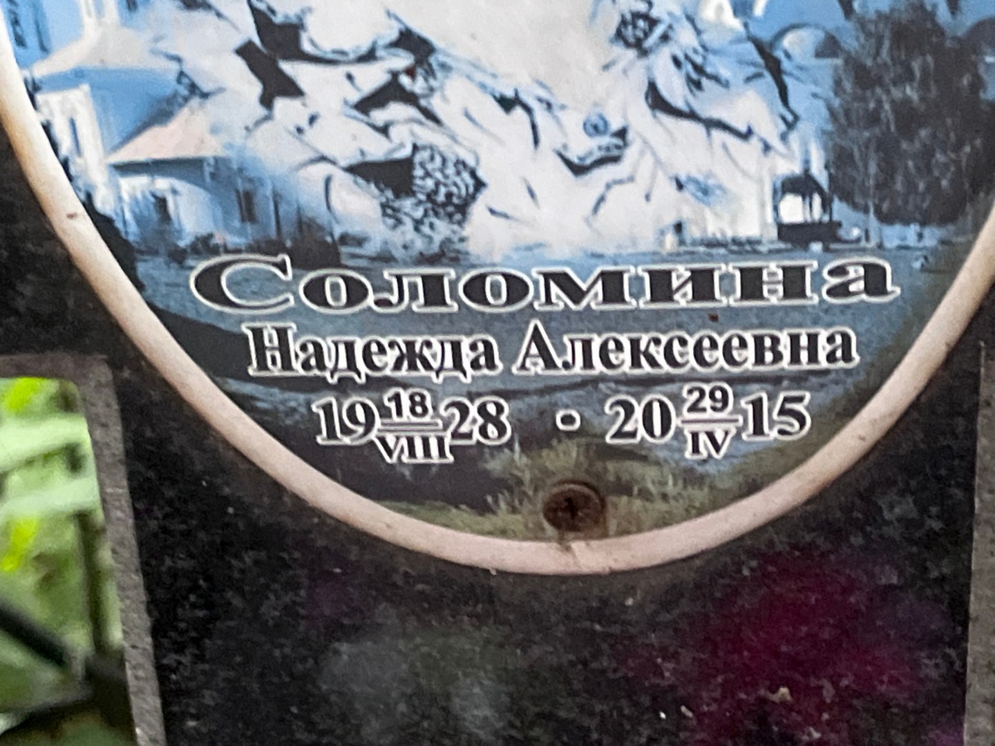 Соломина