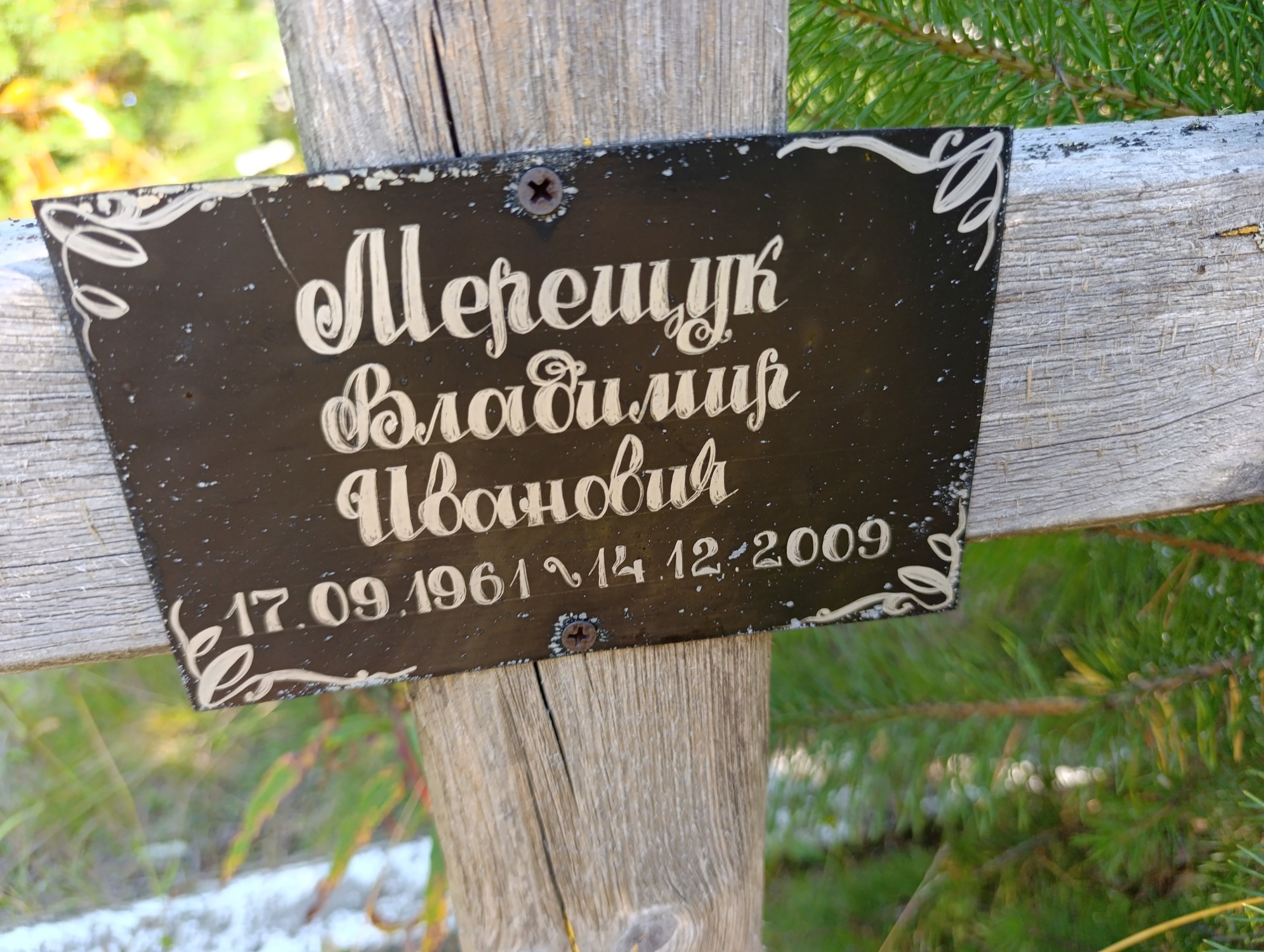 Мерещук Владимир Иванович