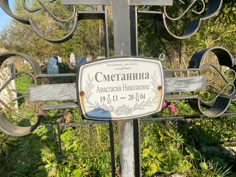 Сметанина Анастасия Николаевна