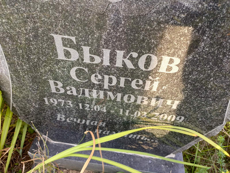 Быков