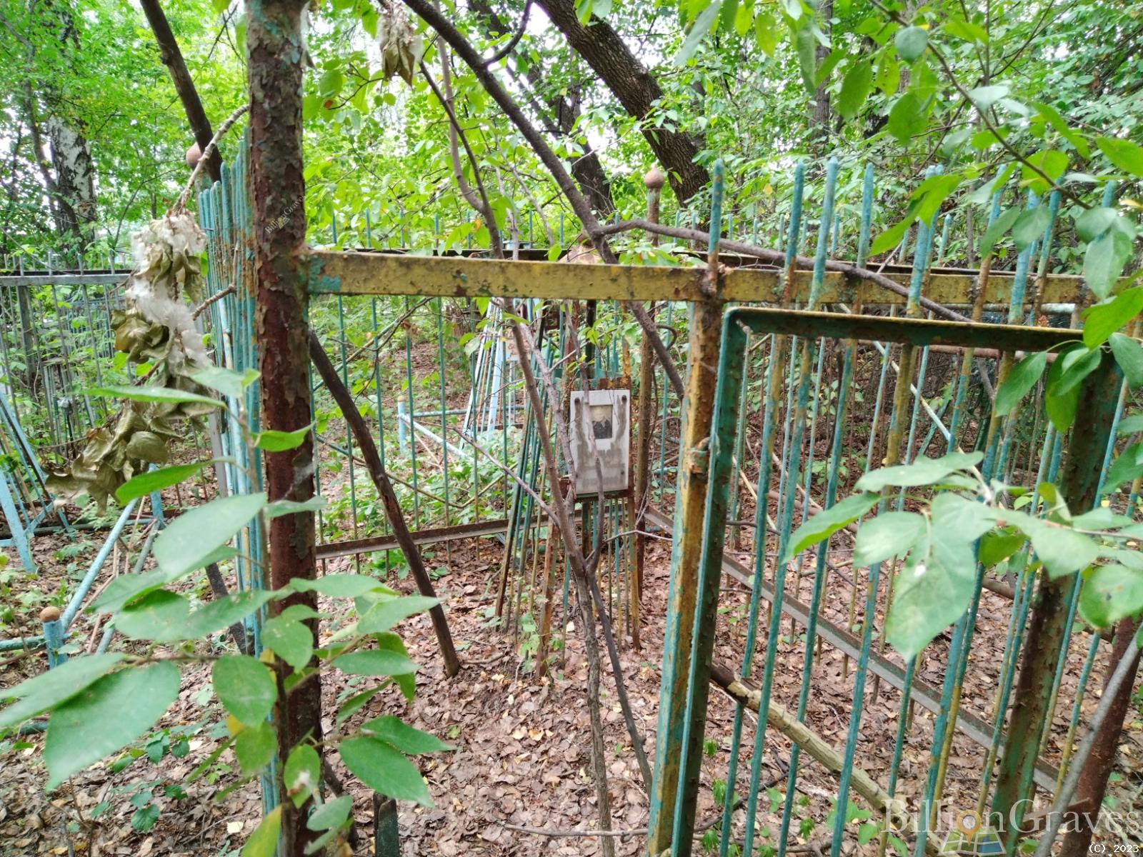 Косцова Татьяна Ивановна