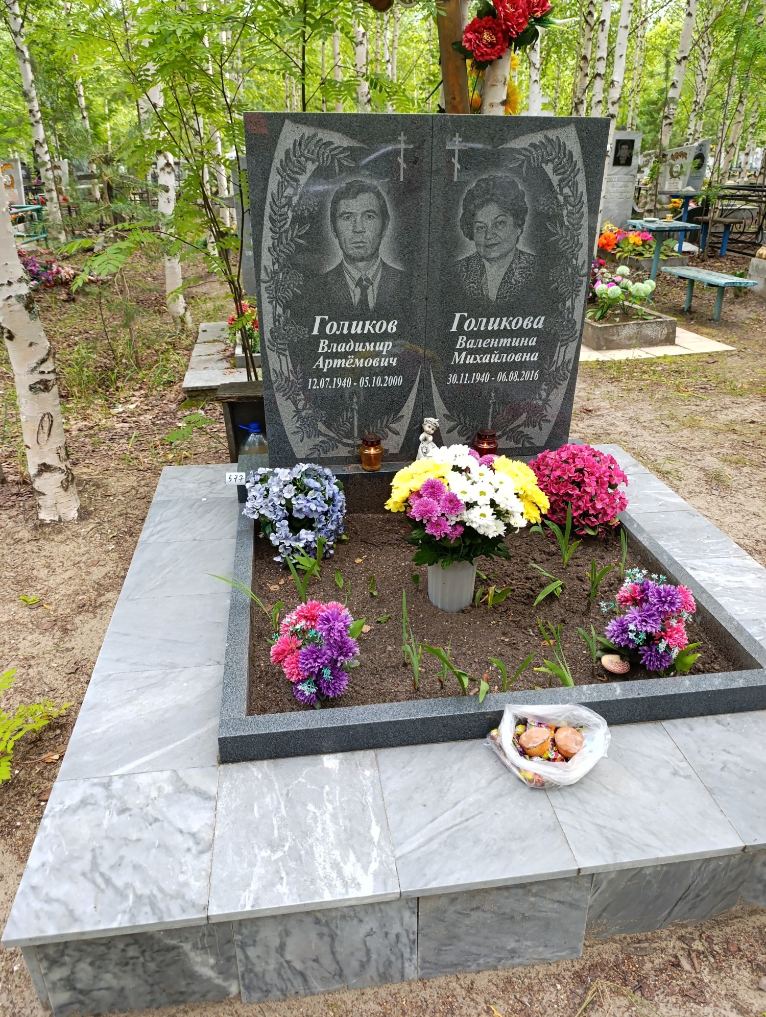 Голиков Владимир Артемович