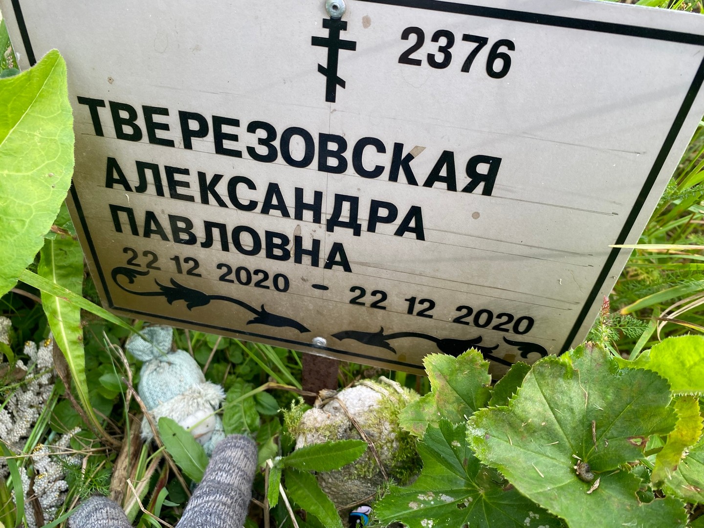 Тверезовская Александра Павловна