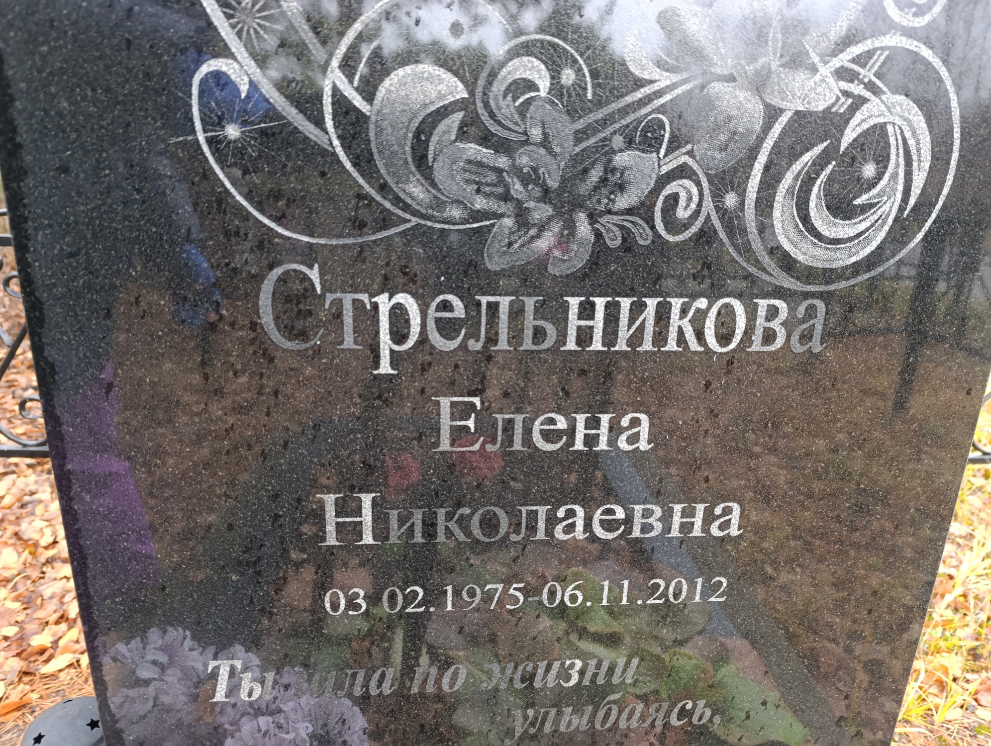 Стрельникова Елена Николаевна