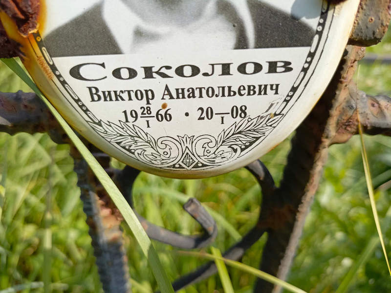 Соколов