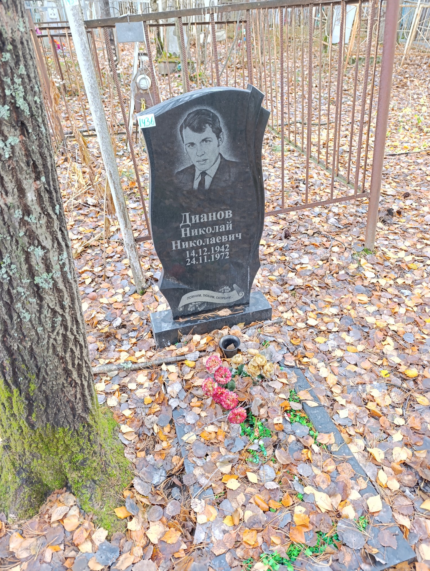 Дианов Николай Николаевич