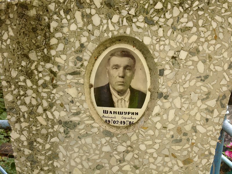 Шамшурин