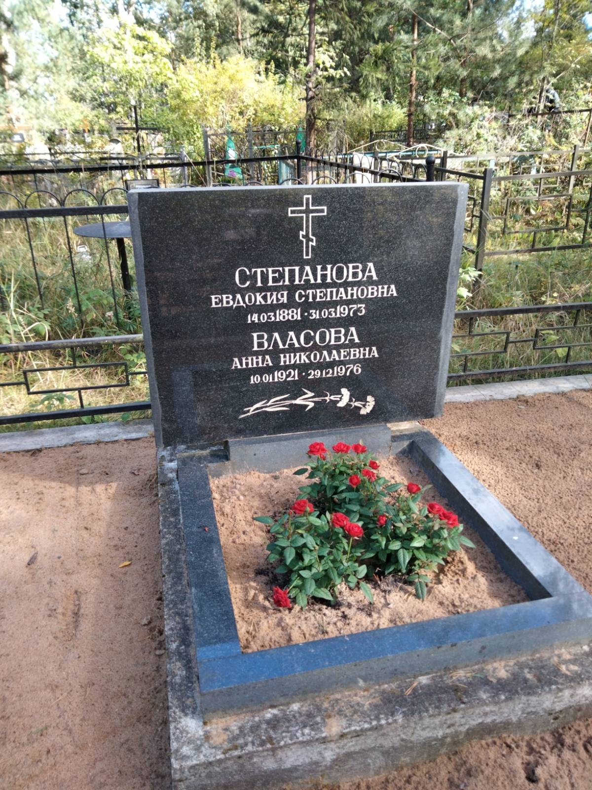 Власова Анна Николаевна