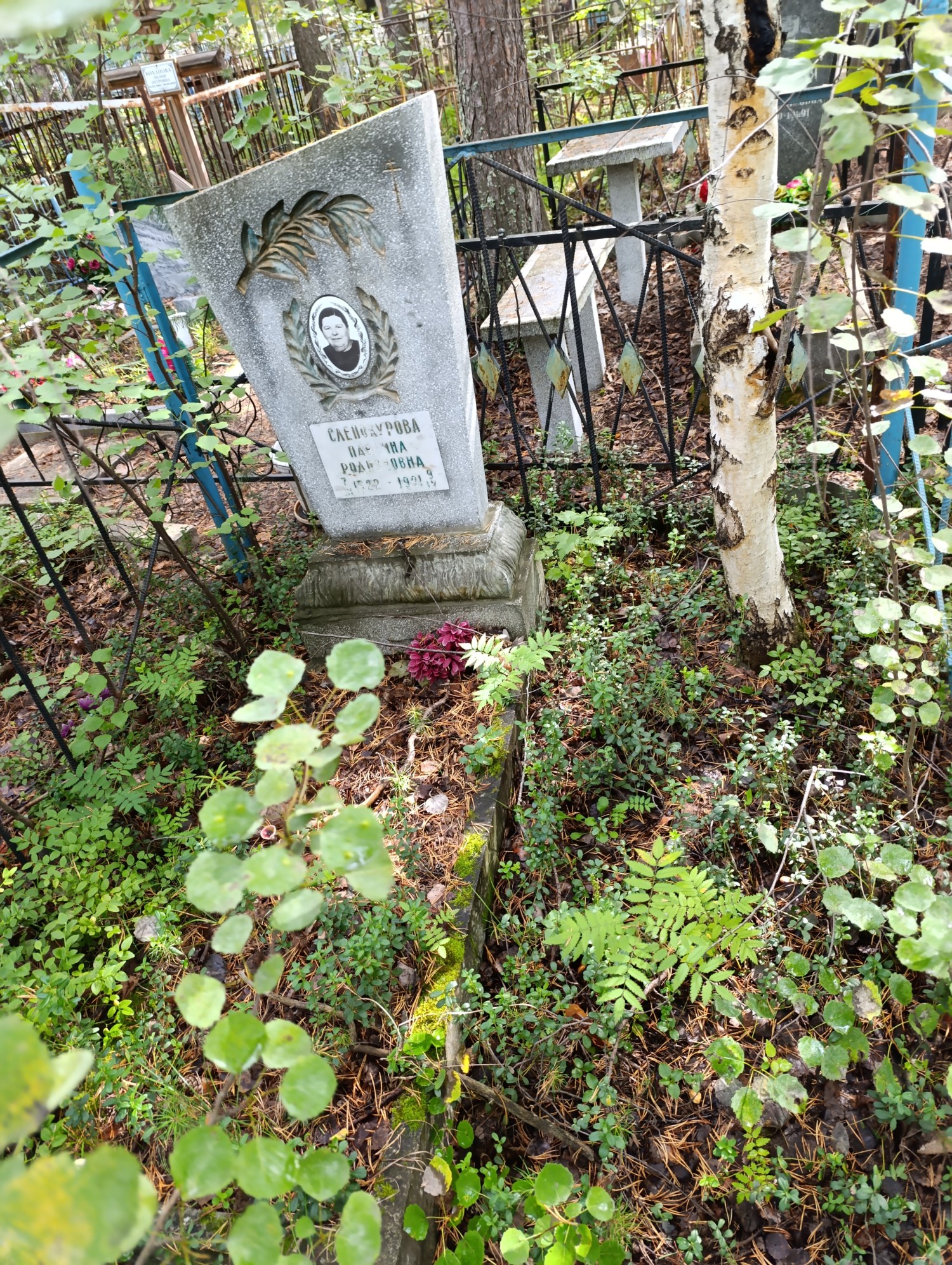 Слепокурова Павлина Родионовна