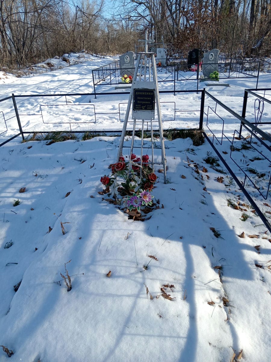 Докиенко Анастасия Петровна