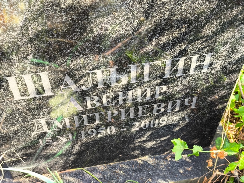 Авенир Шалыгин Дмитриевич