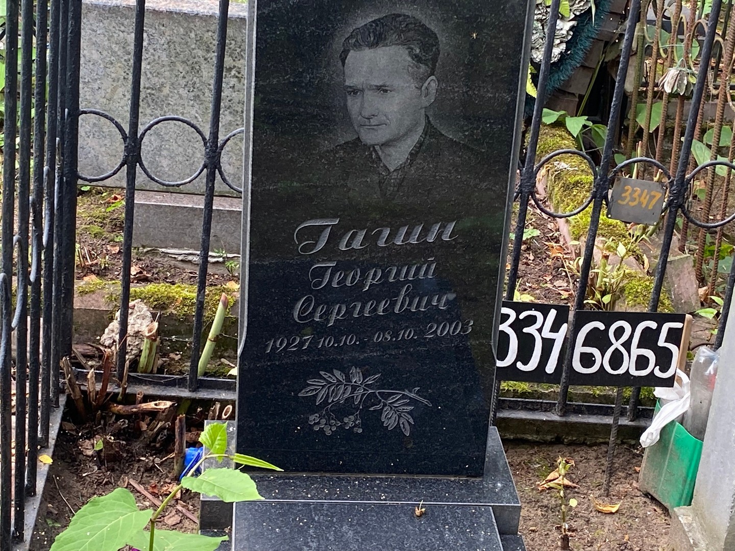 Гагин