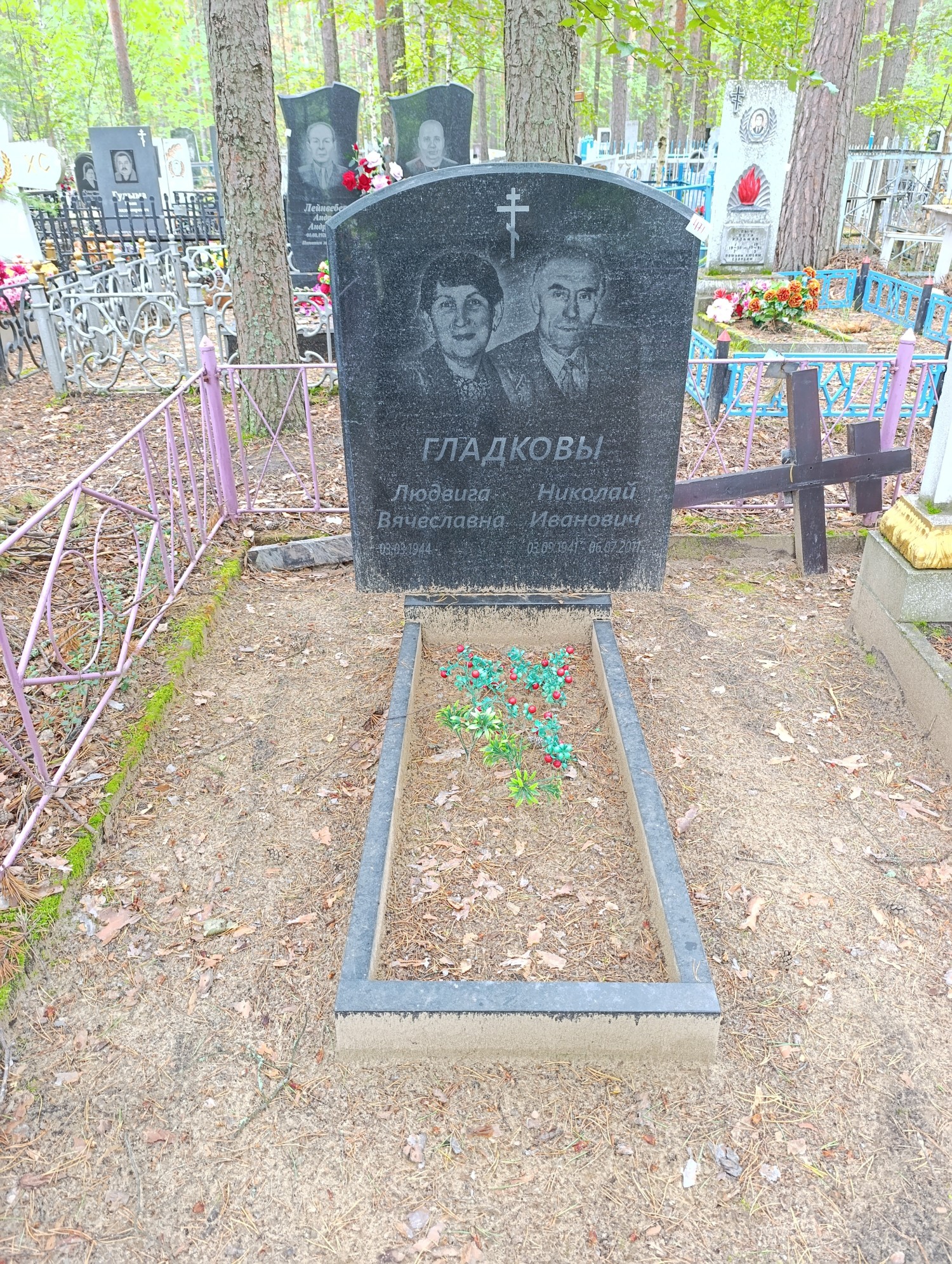 Гладков Николай Иванович