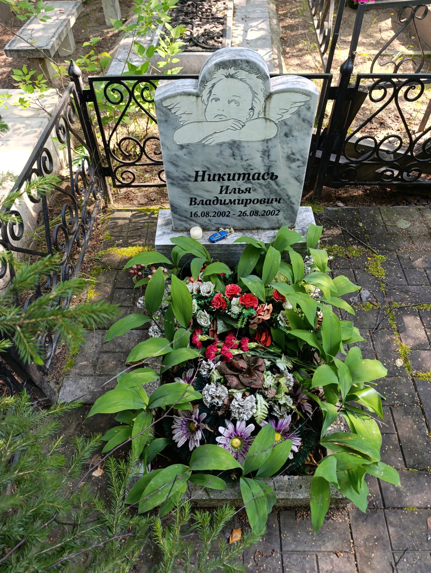 Никитась Илья Владимирович