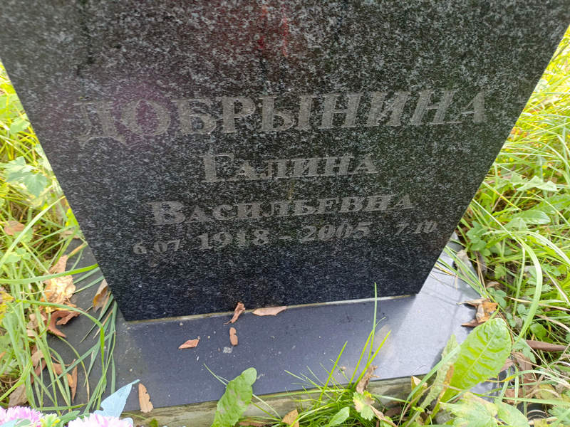 Добрынина