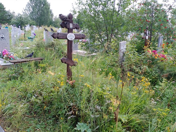 Сергеева Светлана Владимировна