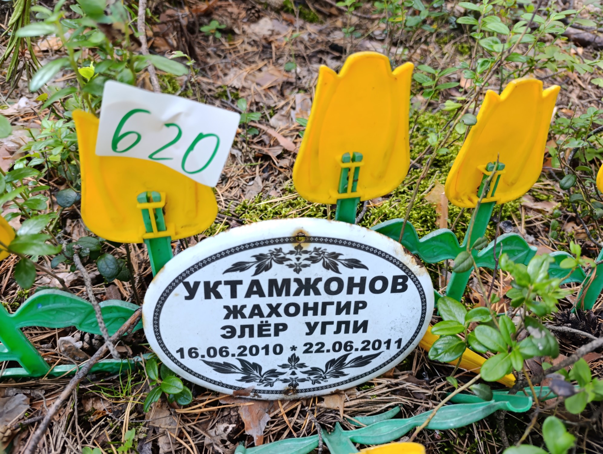 Уктамжонов Жахонгир ЭлерУгли