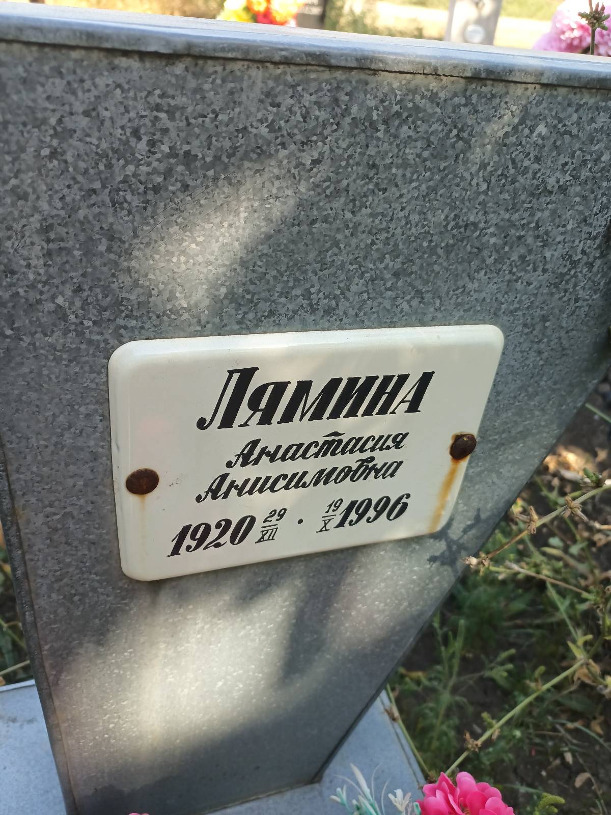 Лямина Анастасия Анисимовна
