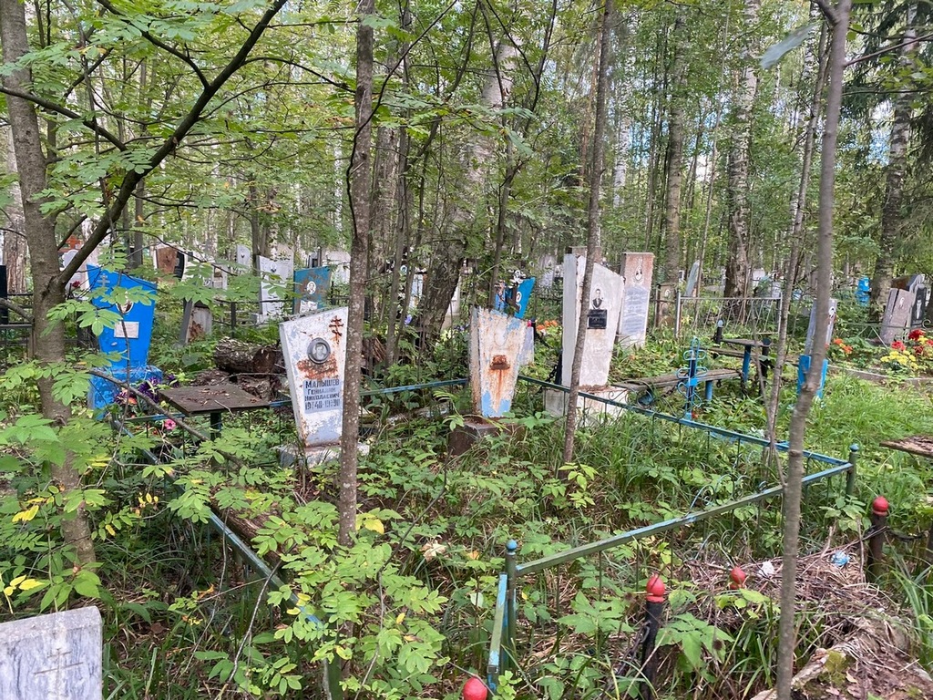 Малышев Геннадий Николаевич