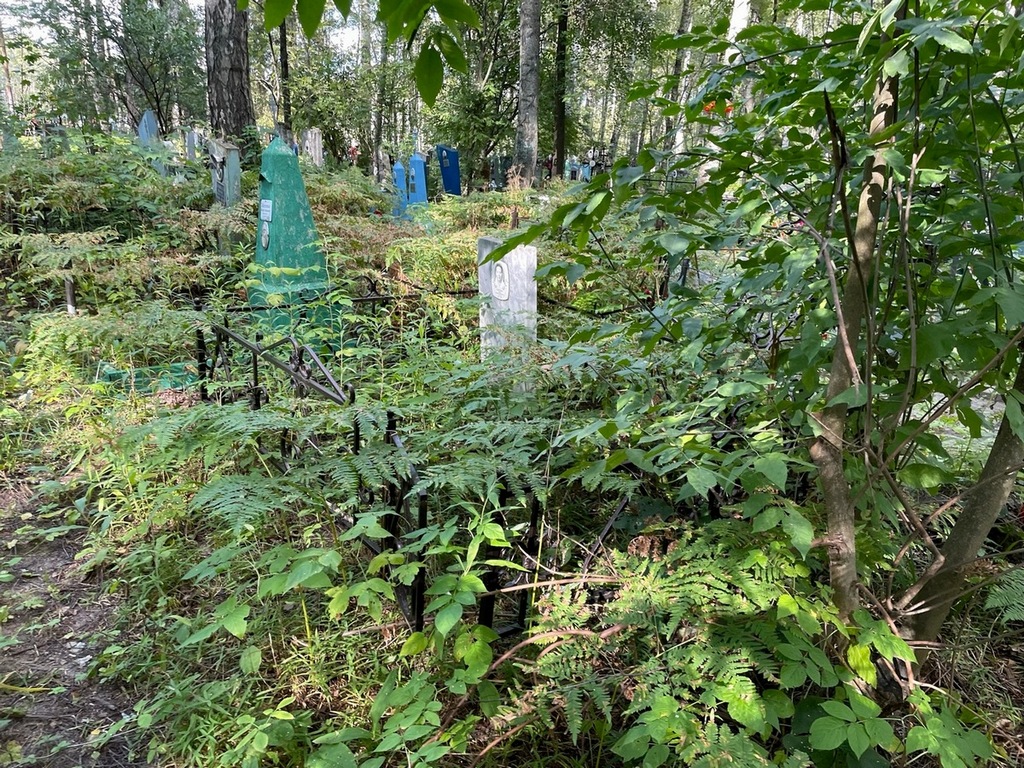 Сергеева Анна Прокофьевна