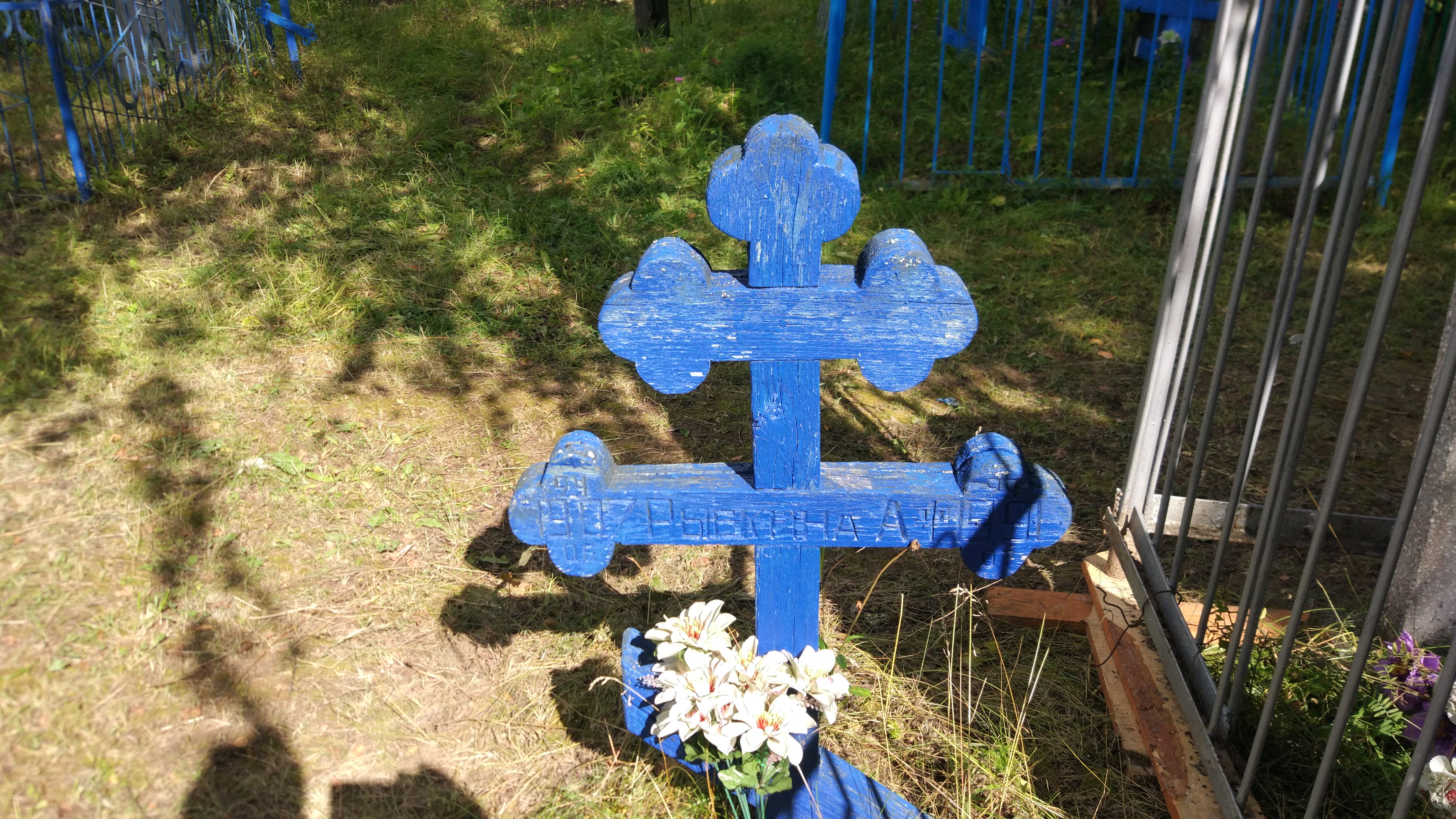 Рыбкина А. Ф.