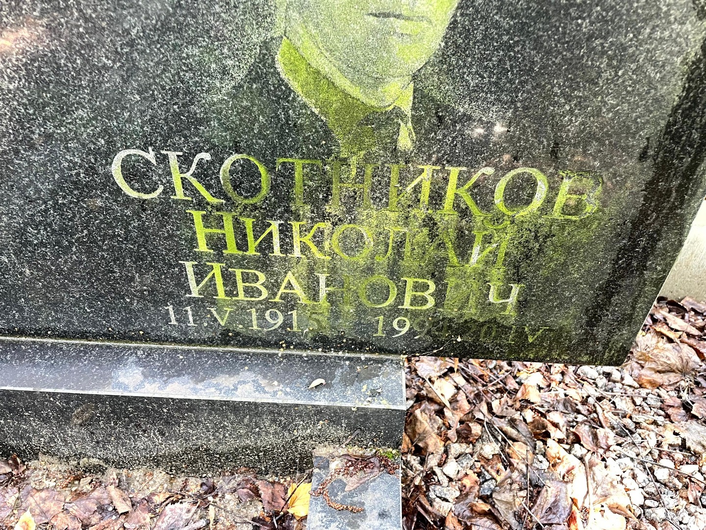 Скотников