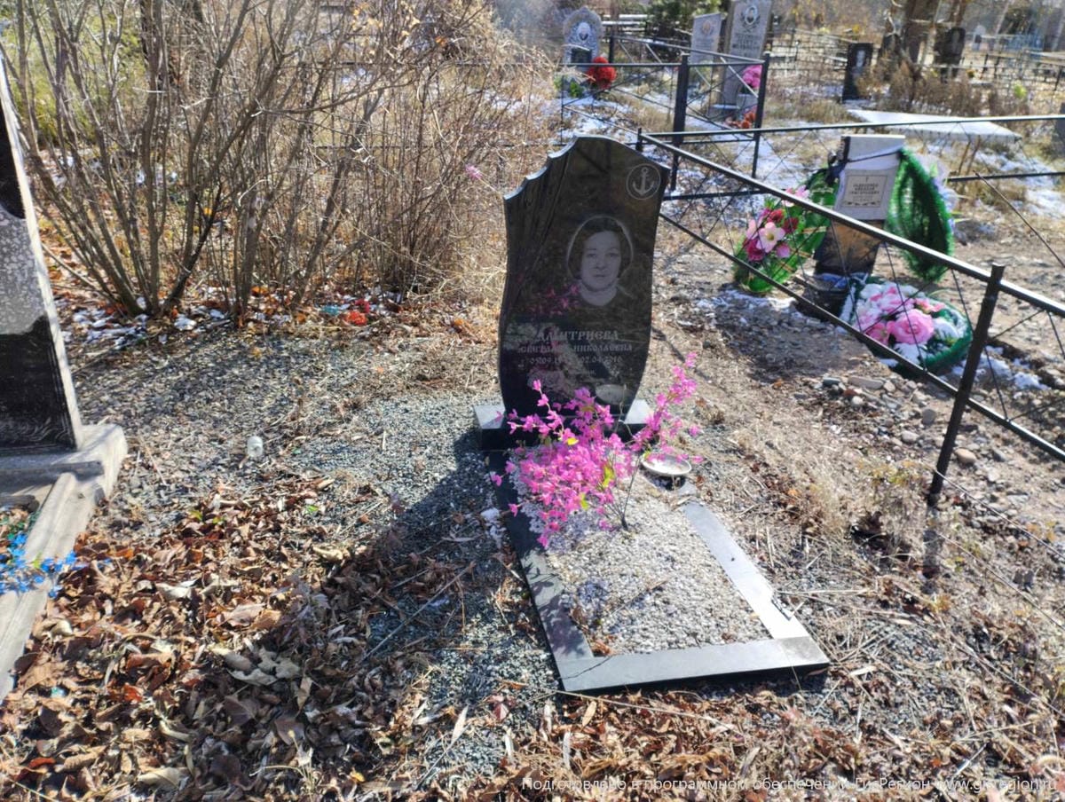 Дмитриева Светлана Николаевна