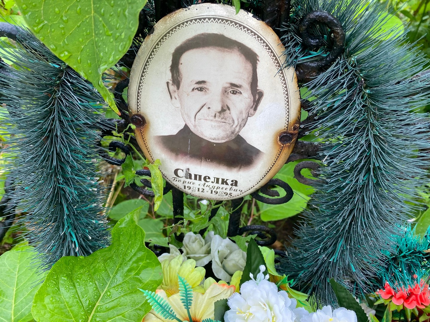 Сапелка