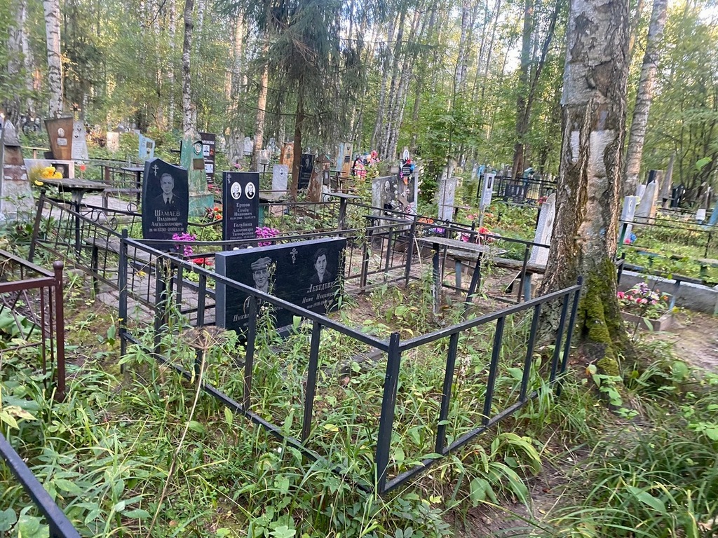 Лебедева Нина Никитична