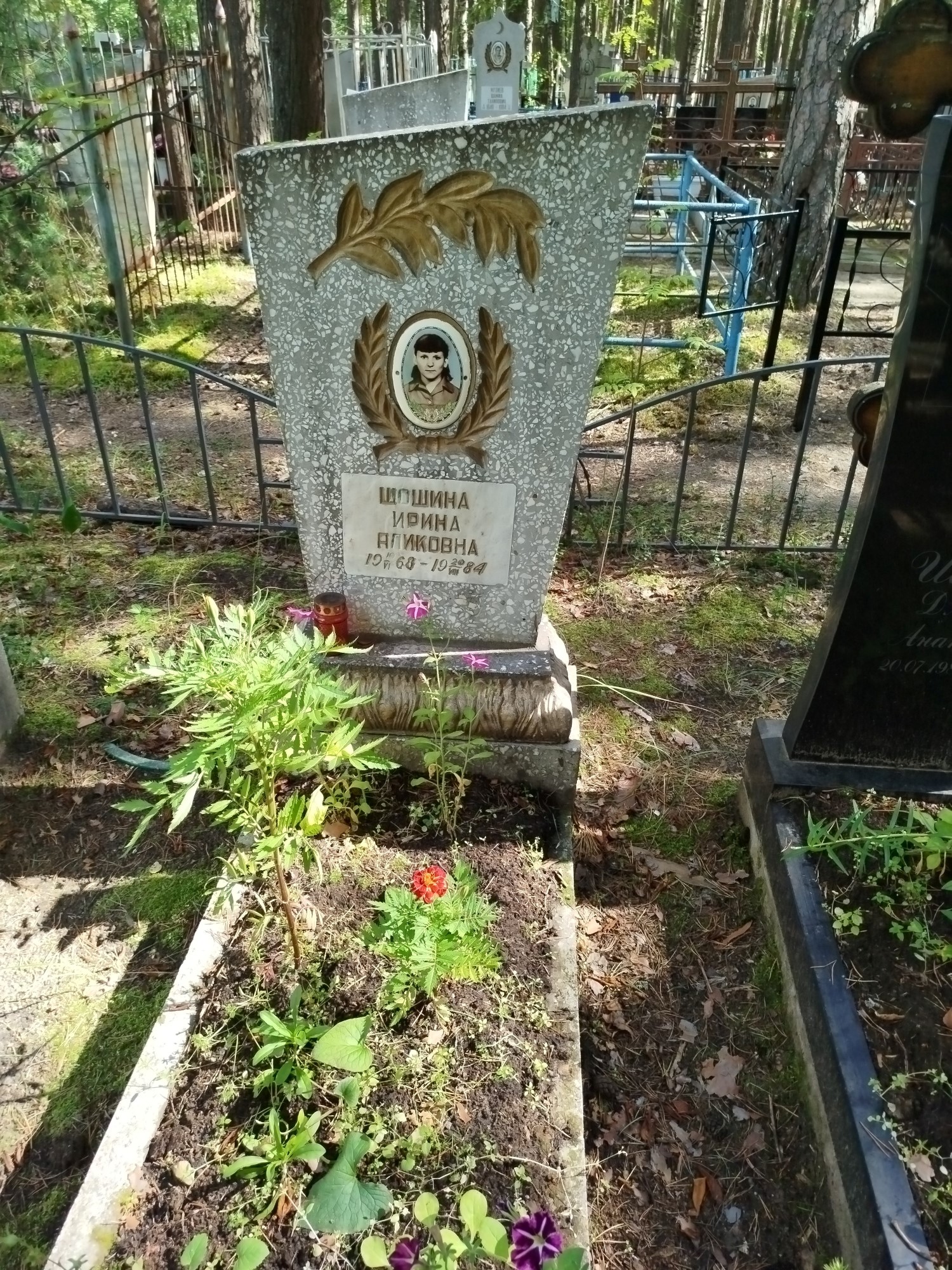 Шошина Ирина Аликовна