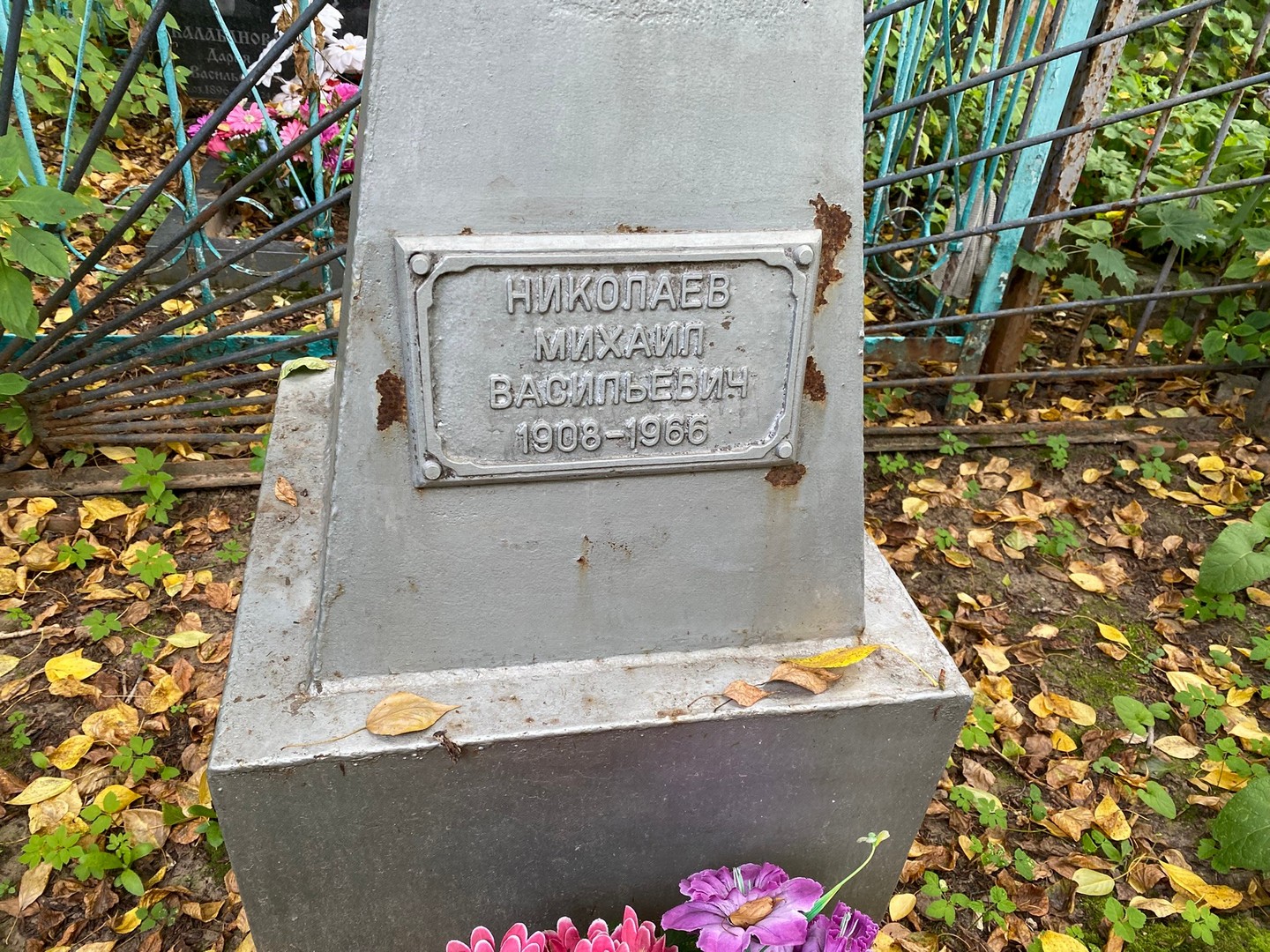 Николаев