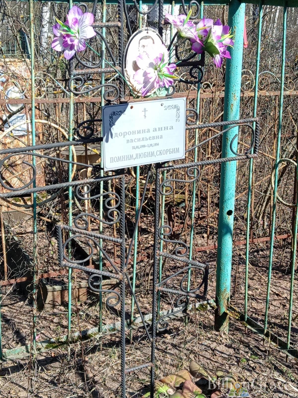 Доронина Анна Васильевна
