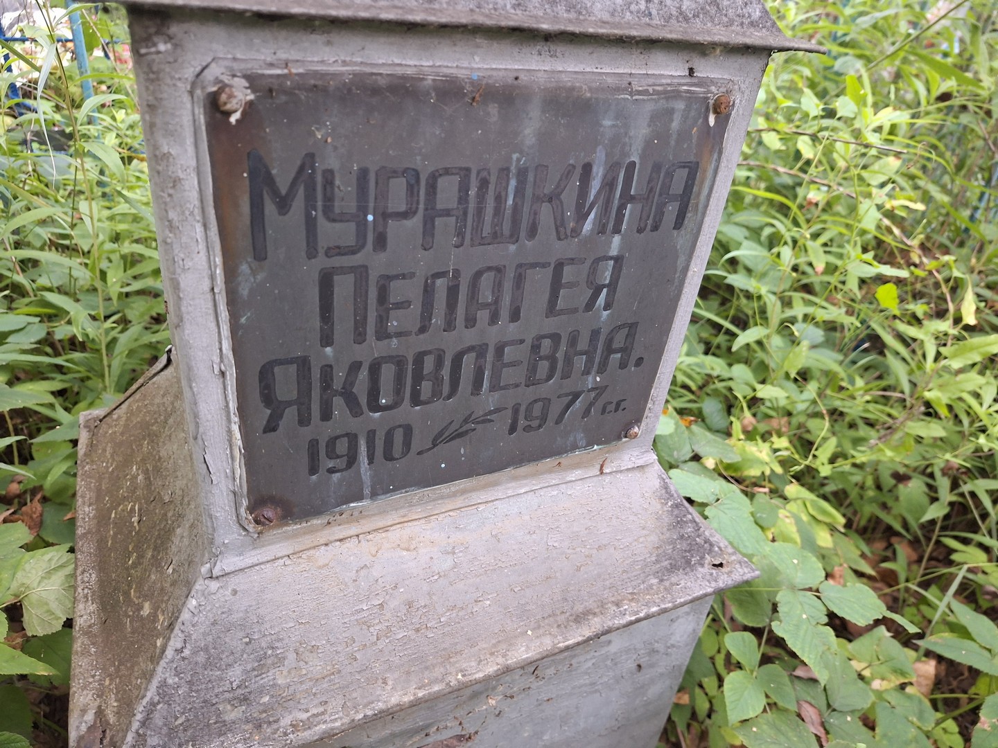 Мурашкина Пелагея Яковлевна