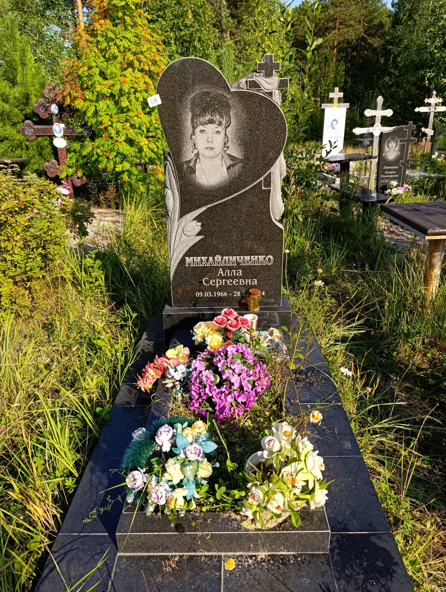 Михайличенко Алла Сергеевна