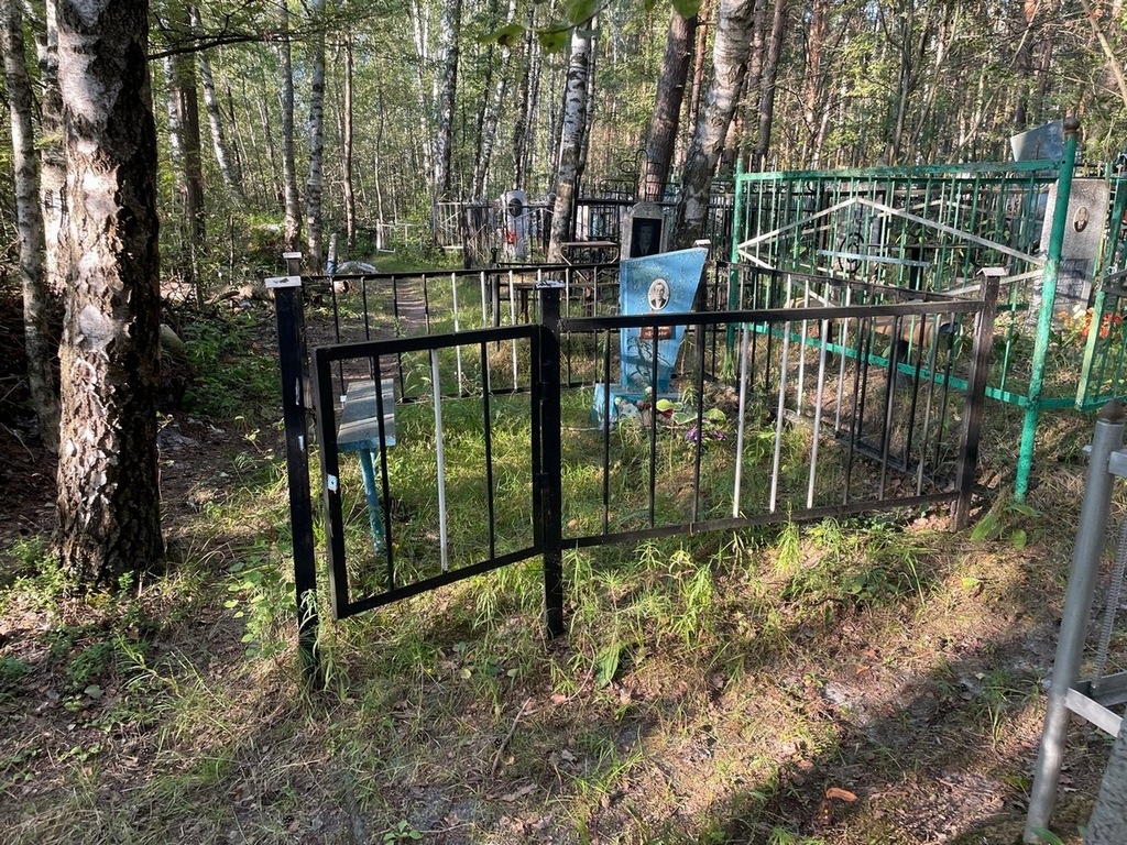 Полянский Виктор Александрович