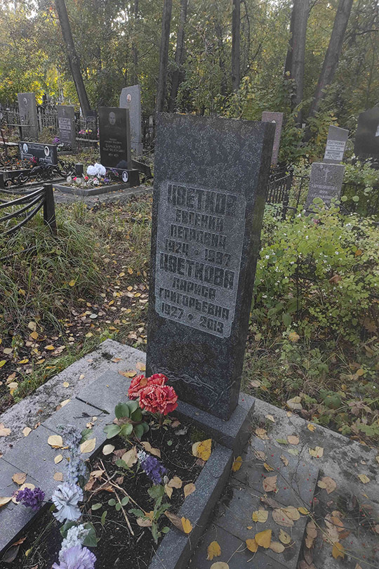 Цветков Евгений Петрович