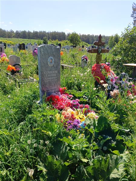 Соколов Евгений Алексеевич