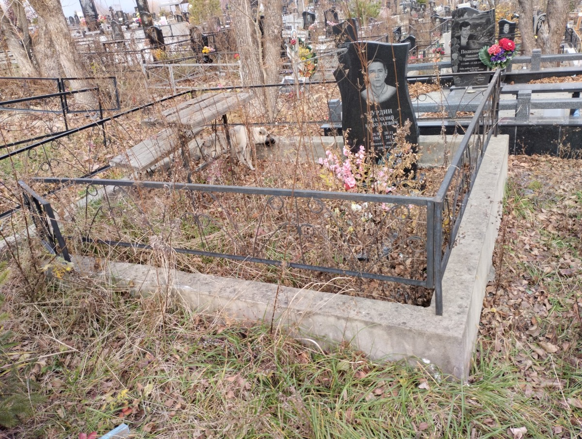 Бурдин Анатолий Николаевич