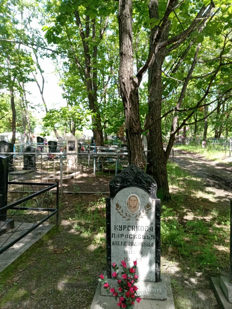 Курсикова Прасковья Александровна