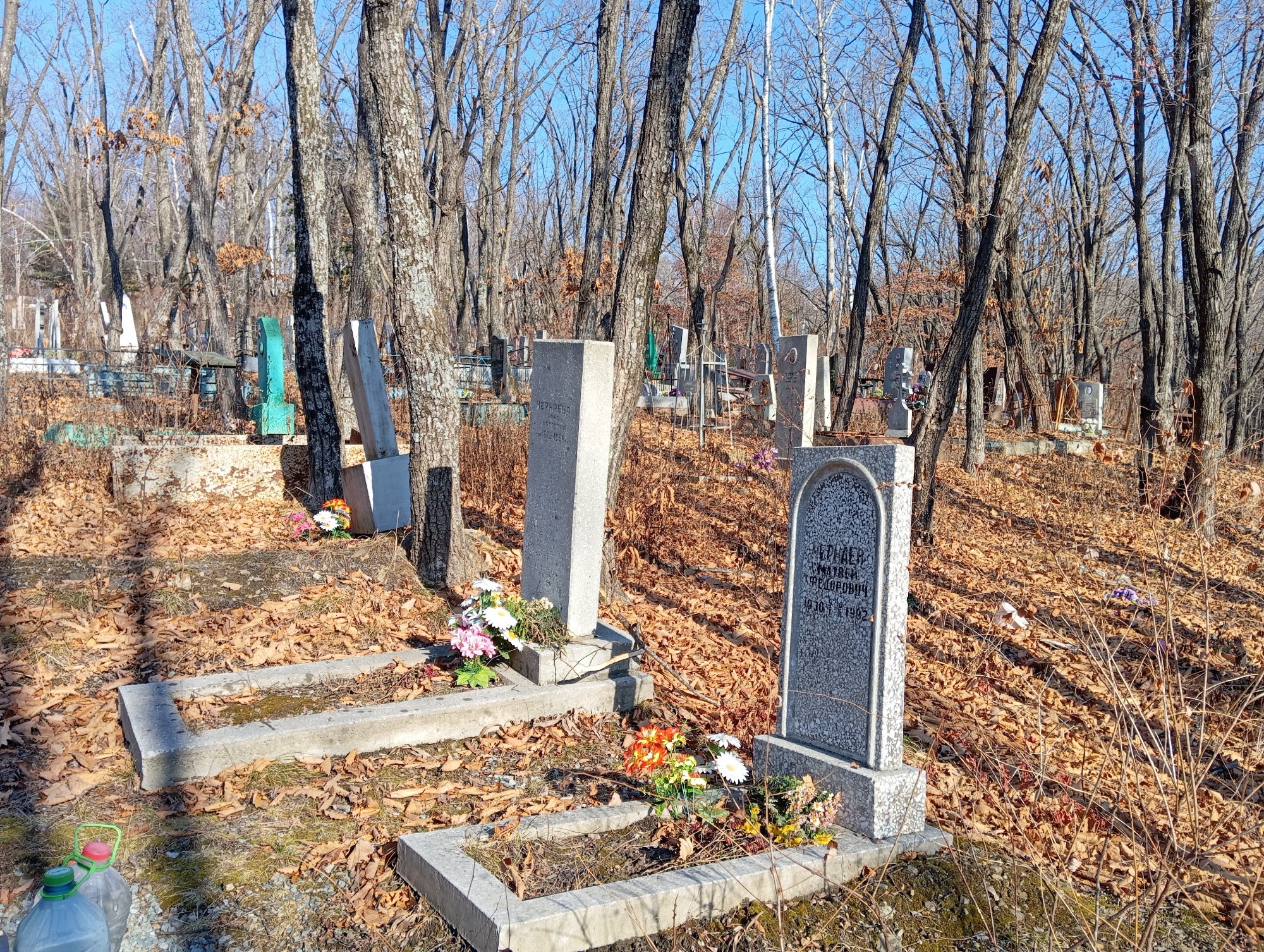 Чернаева Нина Петровна