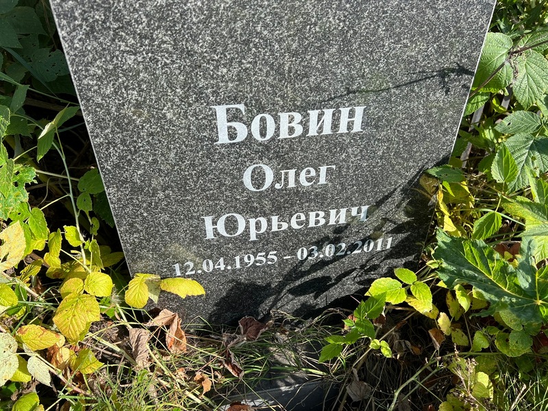 Бовин