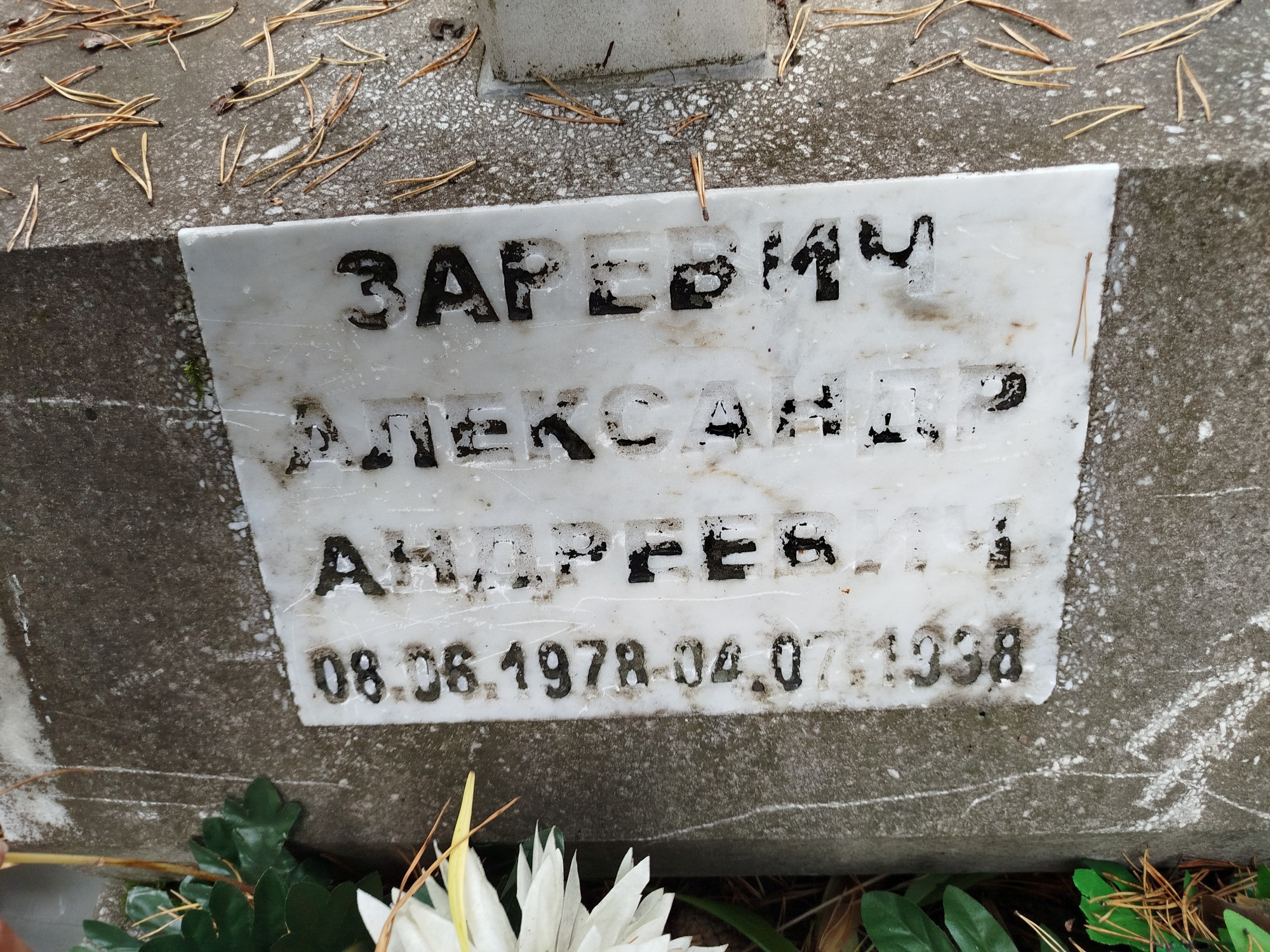 Заревич Александр Андреевич