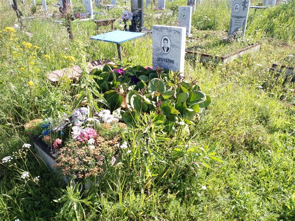 Шаманин Юрий Николаевич